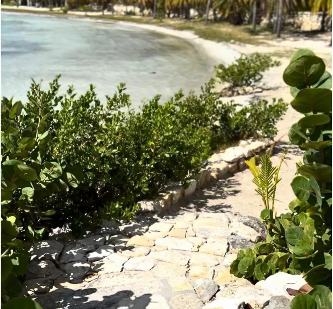 East End Antigua Hotel Willikies